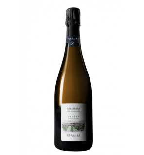Champagne Dehours - La côte
